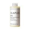 Shining, Anti-Frizz, Strengthening, Softening, Damage Control, Split End Treatment