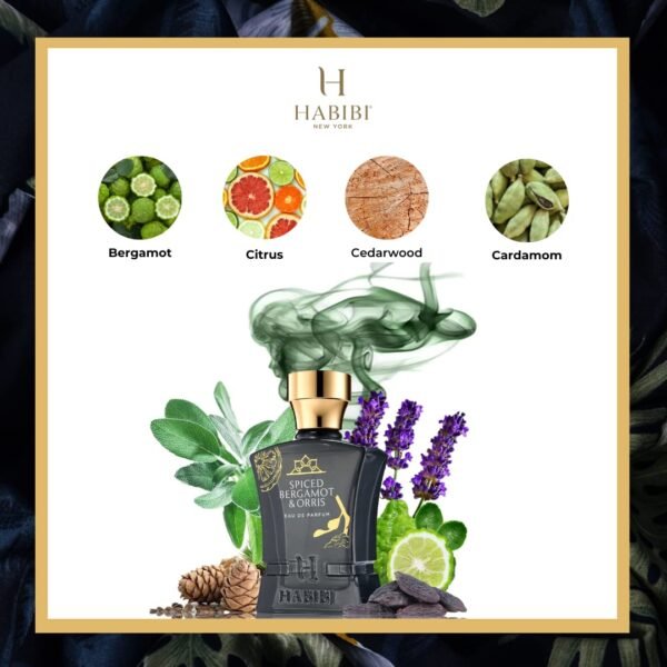 Spiced Bergamot Perfume & Orris Arabian Men's Cologne - Fresh, Sweet & Spicy Citrus Perfume for Men - Blended with Exotic Notes of Sage, Oud & Tonka - Wear, Day or Night Eau de Parfum Men - Image 4