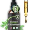 Organic Sweet Wormwood (Artemisia Annua) Tincture - Immune Support and Source of Antioxidants - 2.32 oz / 60ml, Vegan, Manufactured in The USA
