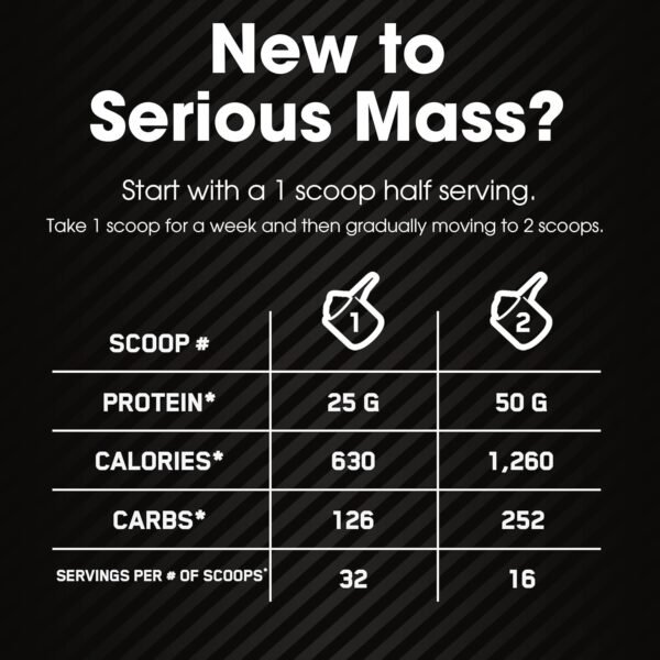 Optimum Nutrition Serious Mass, Weight Gainer Protein Powder, Mass Gainer, Vitamin C and Zinc for Immune Support, Creatine, Chocolate, 12 Pound (Packaging May Vary) - Image 2