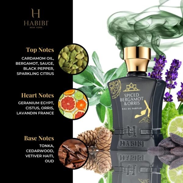 Spiced Bergamot Perfume & Orris Arabian Men's Cologne - Fresh, Sweet & Spicy Citrus Perfume for Men - Blended with Exotic Notes of Sage, Oud & Tonka - Wear, Day or Night Eau de Parfum Men - Image 5