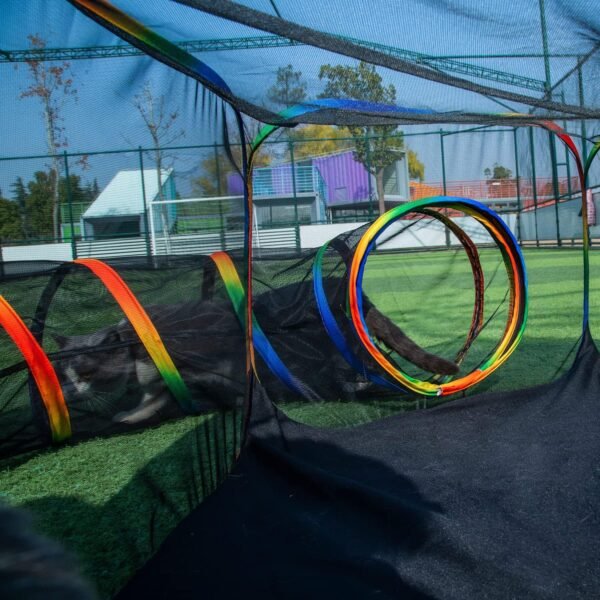 LUCKITTY Outdoor Rainbow Cat Enclosures Playground,Outside House for Indoor Cats Include Portable Cat Tent, Circle Playpen Tunnel, for Kitty and Small Animals,Within Storage Bag - Image 8