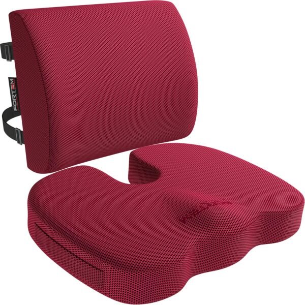 FORTEM Seat Cushion and Lumbar Support for Office Chair, Desk Chair Cushion, Memory Foam Office Chair Cushion, Non Slip Sitting and Back Pillow for Gaming, Car Seat Cushion, Chair Pad